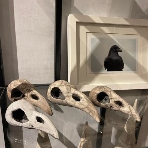 273824822_671796380672328_6384089930527075648_n