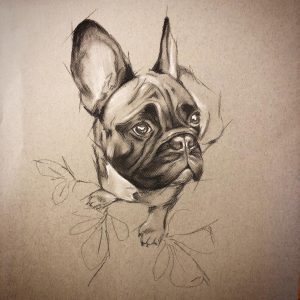 French bulldog charcoal drawing