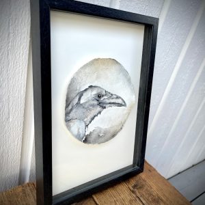 Raven aquarelle