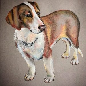 Dog dry pastel drawing