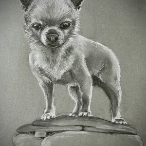 Rambo charcoal drawing