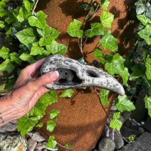 Naked raku bird skull large