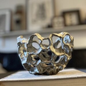 Evolution small  SOLD