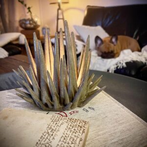 seaurchin candle holder nature
